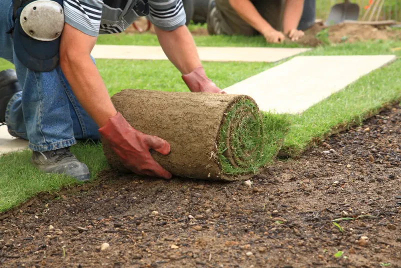 Ihr Experte für Gartenbau, bester Galabauer in Braunschweig