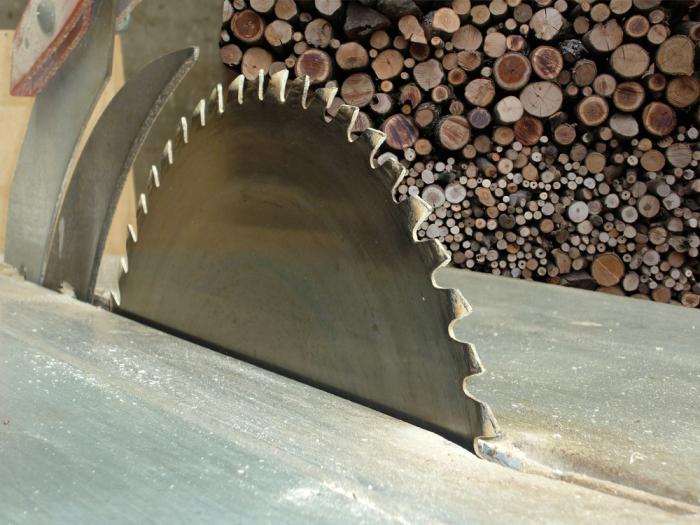 Sägewerk und Holzverarbeitung, Nachhaltigkeit trifft Präzision