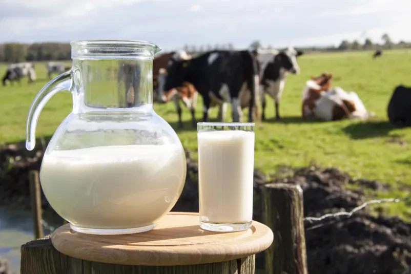 Regionaler Handel mit Fokus auf Milchprodukten Rosengarten