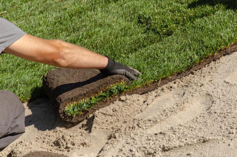 Hochwertige Gartengestaltung in Berlin und Umgebung