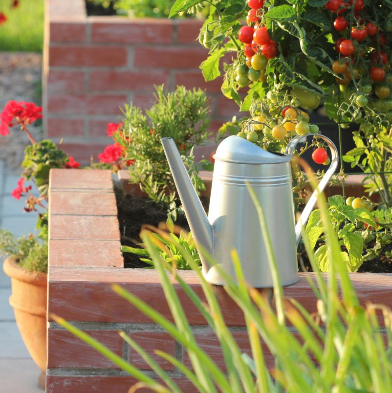 Bester Gärnter in Cappeln und Umgebung