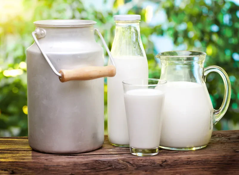 Milchprodukte in Stralsund