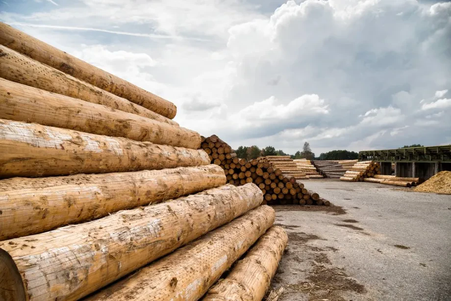 Holz ist ein zentraler Rohstoff für zahlreiche Branchen