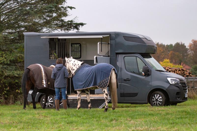 Guter Pferdetransport vom Profi Brandenburg