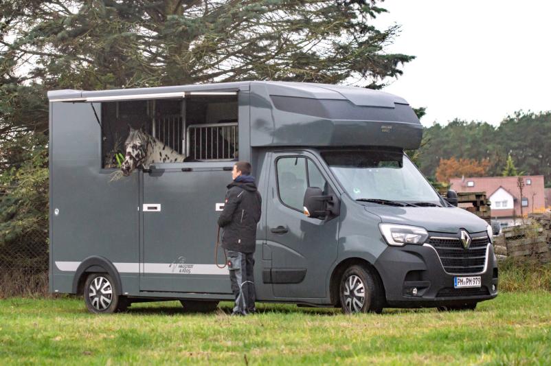 Bester Pferdetransport vom Profi Brandenburg