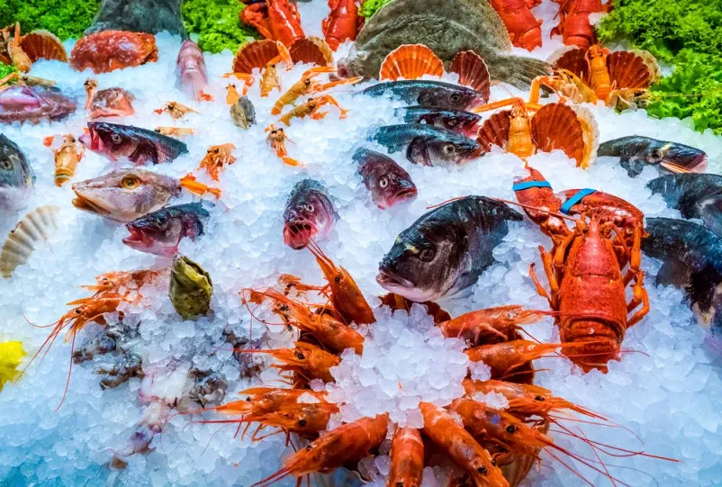 Beste premium Fische und Meeresfrüchte Sundhagen
