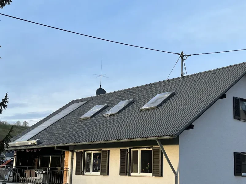 Beste professionelle Dachreinigung in Baden-Württemberg