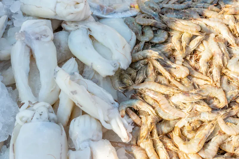 Ihr bester Anbieter von Top-Fischen in Mölschow und Umgebung