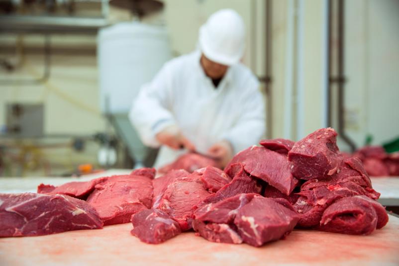 Frischfleisch und Fleischprodukten in Esslingen