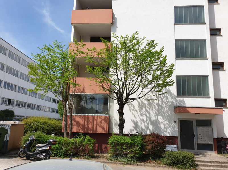 Wodurch zeichnet sich Baumpflege Thiele aus?