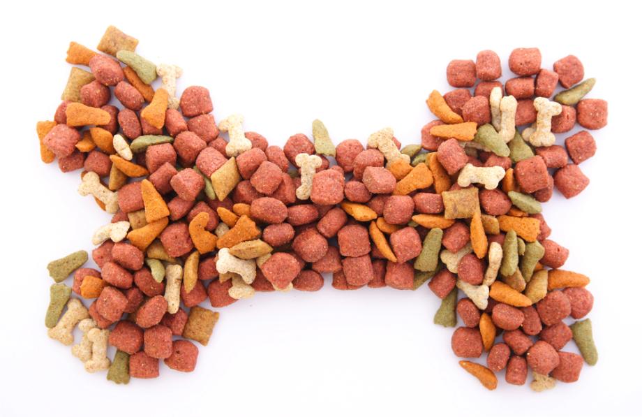 Hilfreiche Orientierungspunkte für Tierhalter 