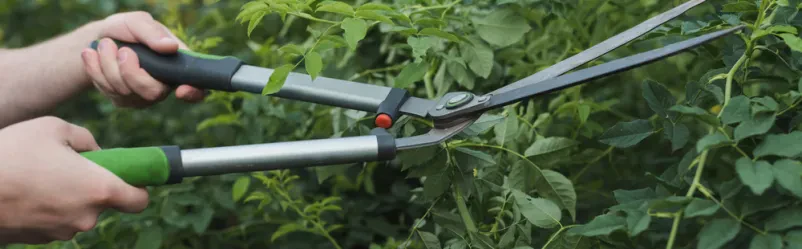 Bester Anbieter für Garten- und Landschaftspflege in Baden-Württemberg