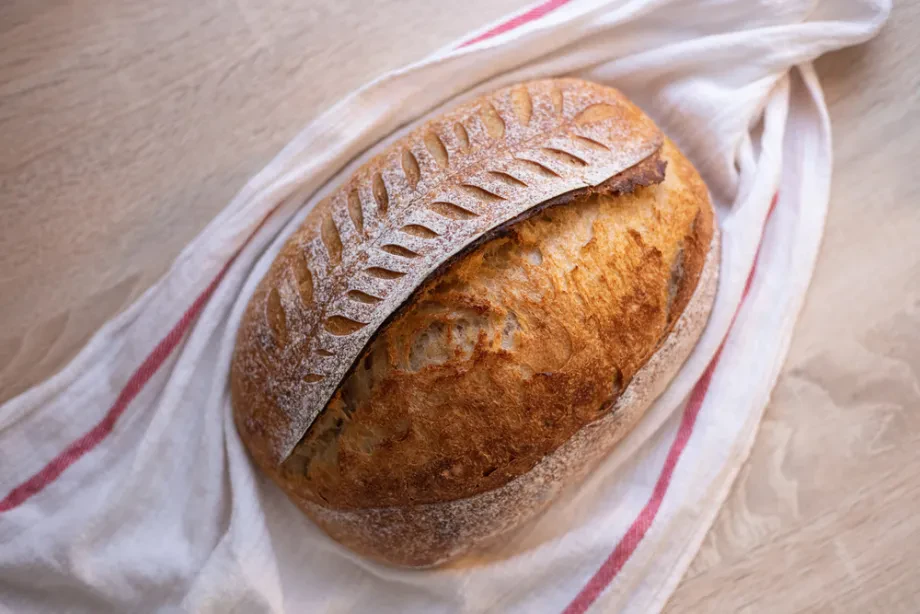 Moderne Ernährung und bewusstes Wohlbefinden