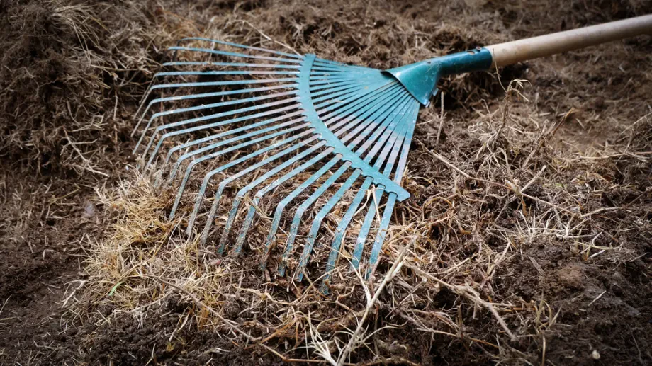 Pflanzung und Pflegeprozesse mit ausgewählter Gartenwerkzeug Basis
