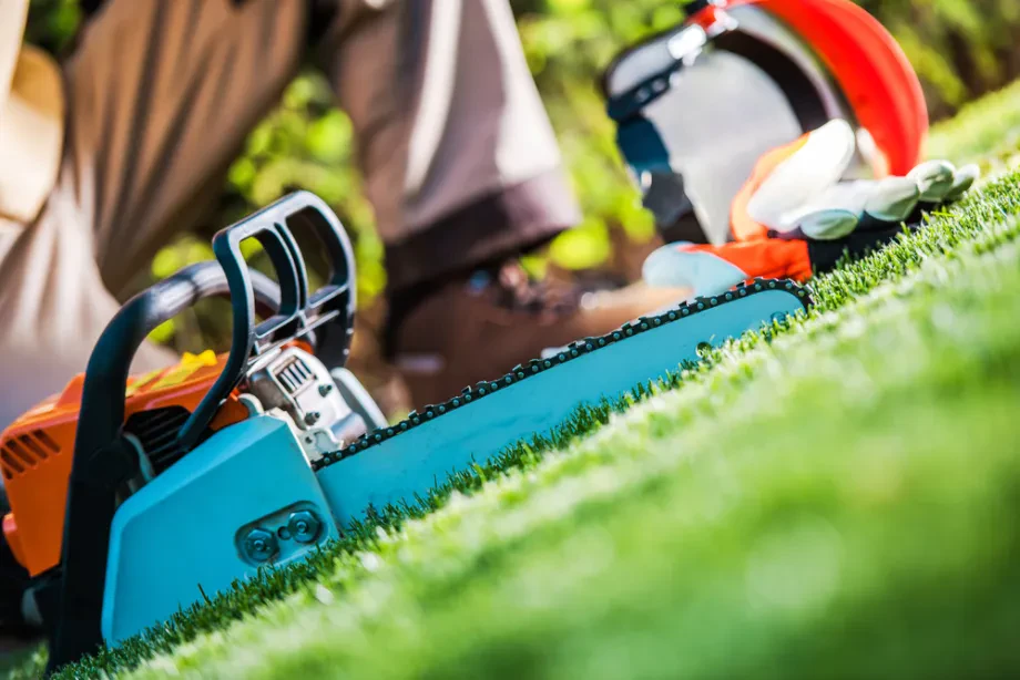 Präzision und Kontrolle durch hochwertige Gartenwerkzeug Auswahl