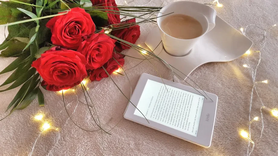 Online Bibliothek Bücher ausleihen für zeitliche Engpässe