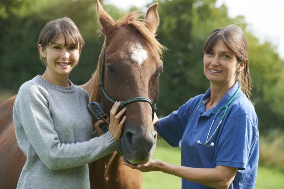 Fachwissen und moderne Diagnostik durch Tierarzt für Nutztiere