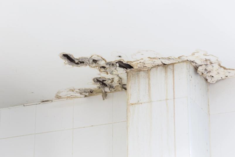 Wie hebt sich Mandaric GmbH von anderen Anbietern ab?