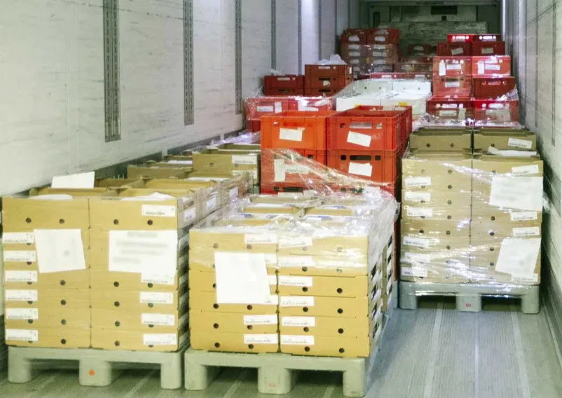 Angebot vom zuverlässigen Kühllager und Kühllogistik 
