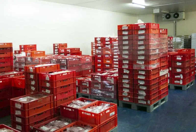 Beste Wahl für Kühllogistik in Süddeutschland