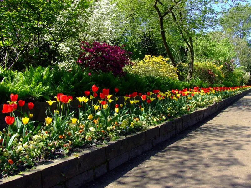 Ihre Experten für Garten- und Landschaftsbau