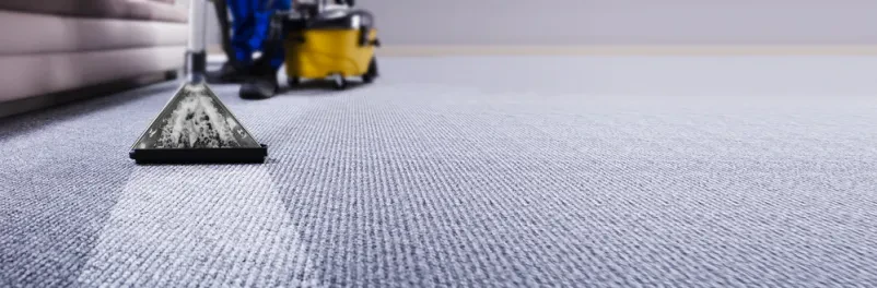 Beste Wahl für Reinigung von Haushalten mit Haustieren