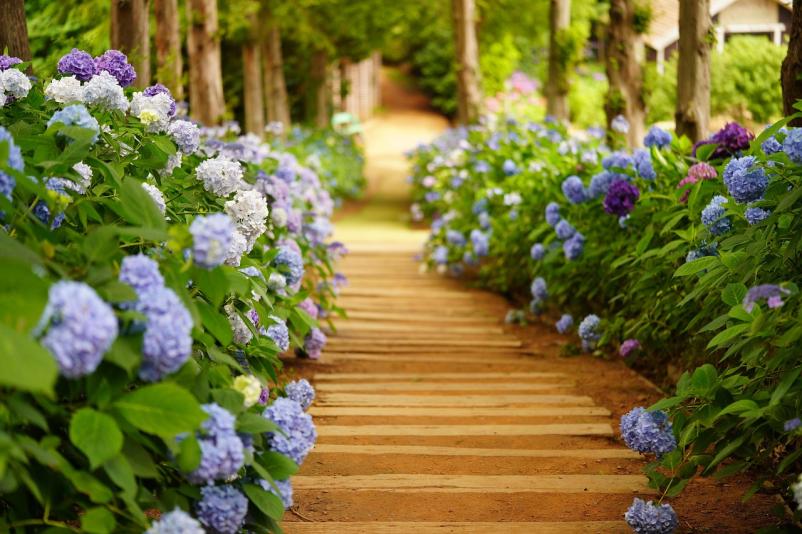 Experten für Gartengestaltung in Buchholz