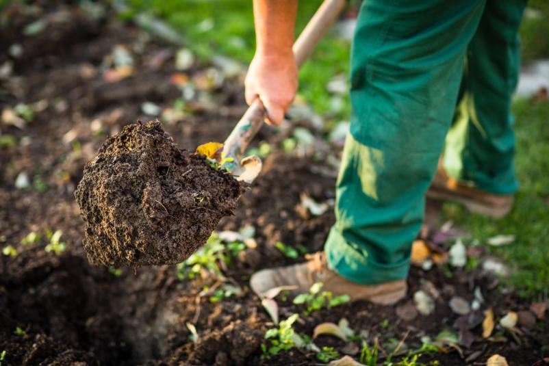Mit professioneller Gartenpflege in Greding wird Ihr Garten zu einem Blütenmeer