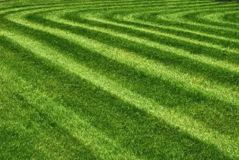 Wie hebt sich RE.BAU Garten- & Landschaftsbau von anderen Anbietern ab?