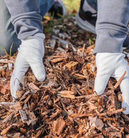 Professioneller Gartenpfleger in Hagen