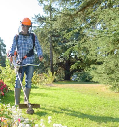 Zuverlässiger Gartenpfleger in Hagen