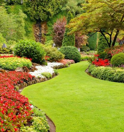 Fachkundiger Gartenbau in Kusel