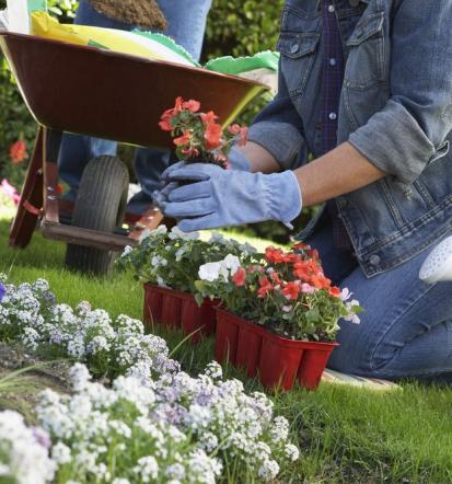 Beste Gartenpflege in Hannover