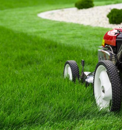 Fachkundiger Gartenbau in Frauenneuharting