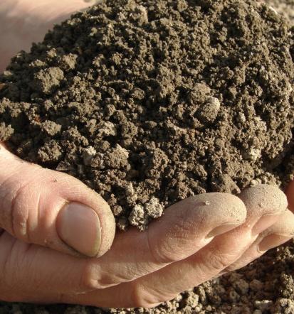 Professioneller Gartenbauer im Rhein-Main-Gebiet