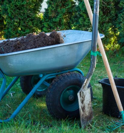 Ein gepflegter Garten trägt nachweislich zum Wohlbefinden bei