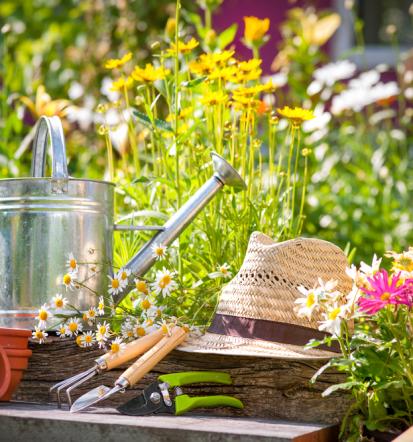 Günstiger Gartenbau Landshut und Umgebung