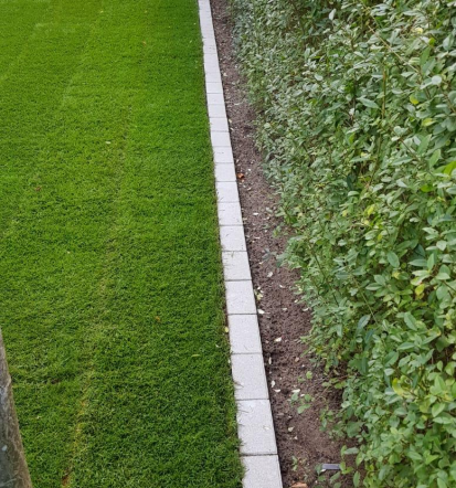 Fachgerechte Gartenpflege in Hilden