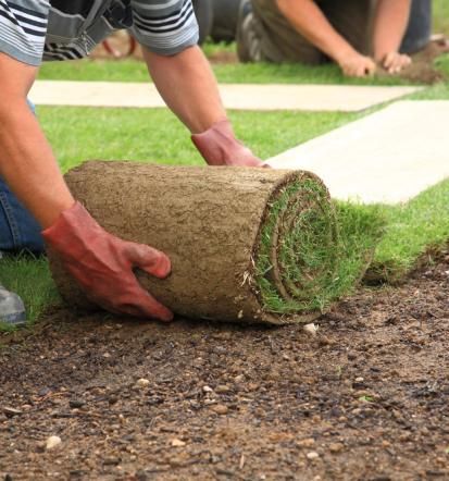 Gartengestaltung in Mönchengladbach