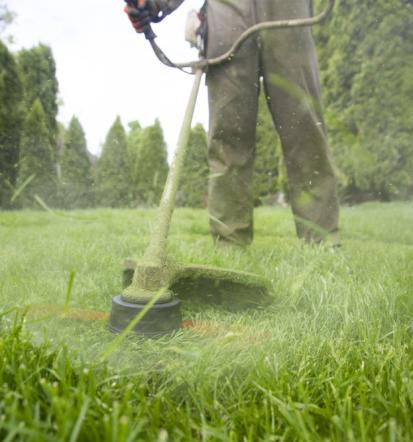 Grüne Oasen in Wiesbaden gestalten