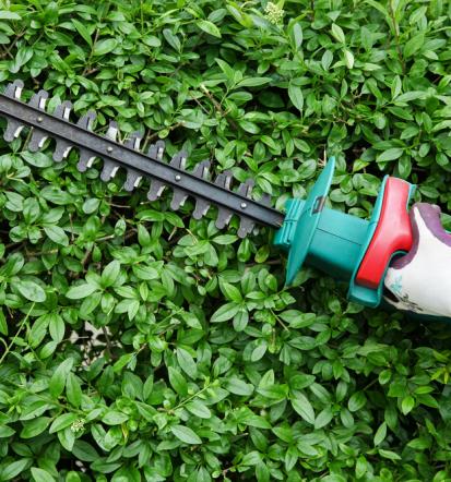 Entsorgung von Gartenabfällen und Erdaushub in Sulzbach