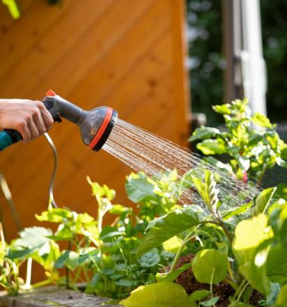 Fachgerechte Gartenpflege in Ehringshausen