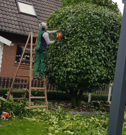Gartenpflege in Hilden