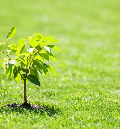 Online-Verkauf von Gartenhäusern deutschlandweit