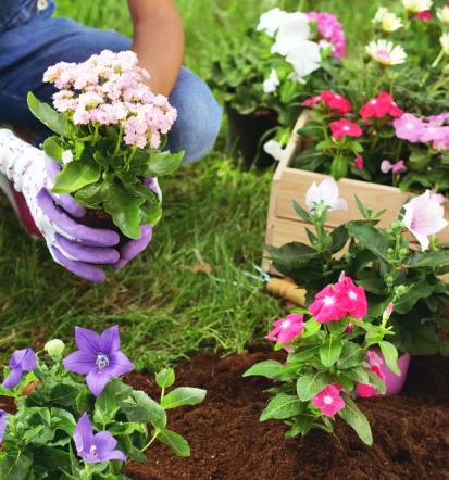 Günstige Gartenpflege in Hasselroth