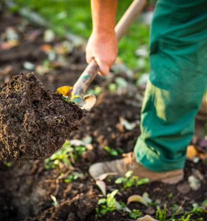 So erkennen Sie einen guten Garten- und Landschaftsbauer in Ingolstadt