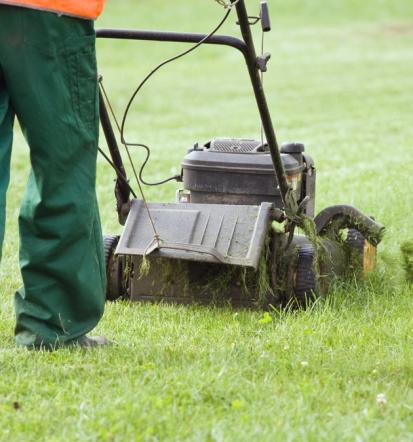 Garten- und Landschaftsbau, holen Sie sich Ihren Top-Angebot