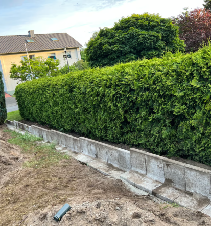 Qualitativer Hausmeisterservice Schloß Holte-Stukenbrock