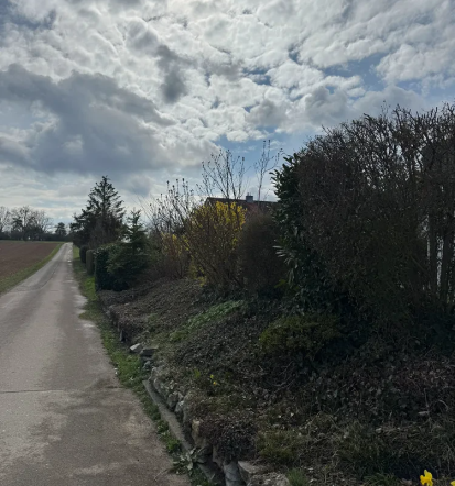 Professioneller Landschaftsgärtner in Kornwestheim