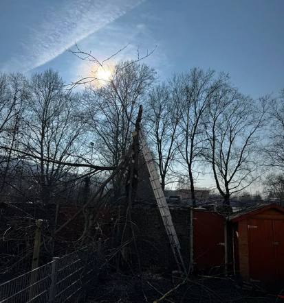 Guter Landschaftsgärtner in Kornwestheim